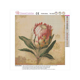Easy Craft Diamond Painting DIY Kit, 30x30cm- Protea (New Tool Set)