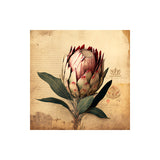 Easy Craft Diamond Painting DIY Kit, 30x30cm- Protea (New Tool Set)