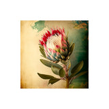 Easy Craft Diamond Painting DIY Kit, 30x30cm- Protea (New Tool Set)