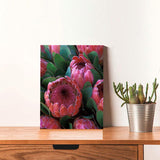 Diamond Painting DIY Kit,Full Drill, 40x30cm- Special Pink Ice Proteas