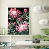 Diamond Painting DIY Kit,Full Drill, 50x40cm- Proteas on Black Background