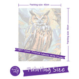 Easy Craft Paint by Number DIY Kit, 50x40cm- Owl in Trees