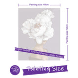 Easy Craft Paint by Number DIY Kit, 50x40cm- Beauty with Flower Hat- with White Hat