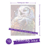 Easy Craft Paint by Number DIY Kit, 50x40cm- Colorful Barn Owl
