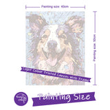 Easy Craft Paint by Number DIY Kit, 50x40cm- Dogs Australian Shepherd