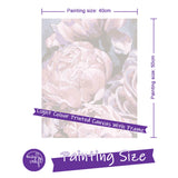 Easy Craft Paint by Number DIY Kit, 50x40cm- Peony Bud