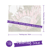 Easy Craft Paint by Number DIY Kit, 50x40cm- Protea Pink, Red, White - Pink