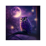 Easy Craft Diamond Painting DIY Kit, 40x40cm- Animal at Night (New Tool Kit )