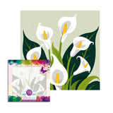 Easy Craft Paint by Number DIY Kit, 20x20 Flowers