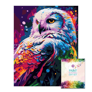 Easy Craft Paint by Number DIY Kit, 50x40cm- Colorful Barn Owl