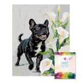 Easy Craft Paint by Number DIY Kit, 50x40cm- Dog Series 02