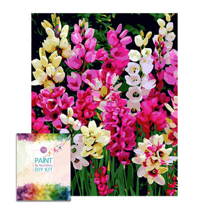 Easy Craft Paint by Number DIY Kit, 50x40cm- Various Flowers Ixia Mixed