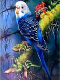 Diamond Painting DIY Kit, Round diamonds, 40x30cm- Blue Parrot