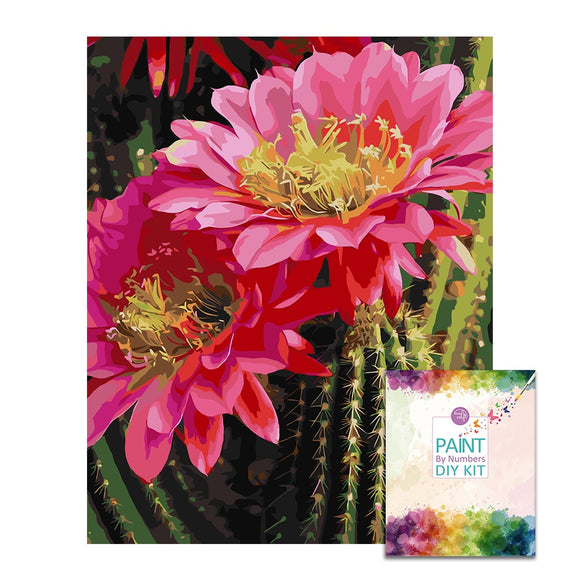 Easy Craft Paint by Number DIY Kit, 50x40cm- Succulent Cactus Pink