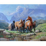 Diamond Painting DIY Kit,Full Drill, 50x40cm- Horses and Mountains