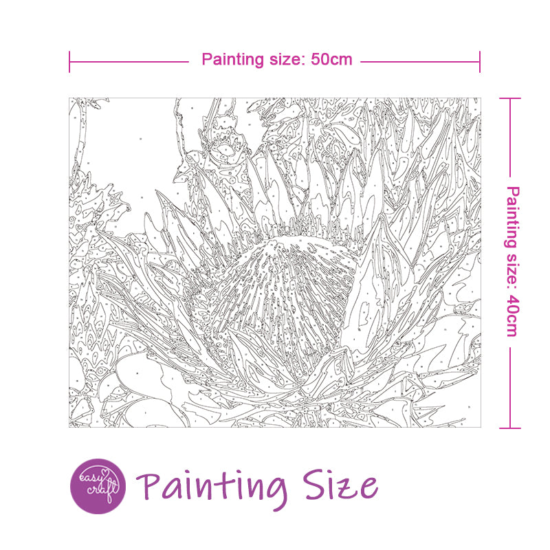 easy-craft-paint-by-number-diy-kit-50x40cm-protea-pink-red-white-easy-craft-sa