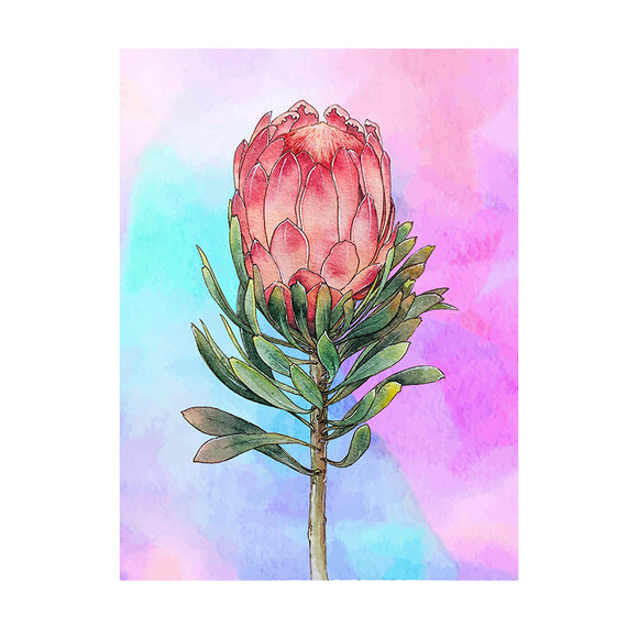 Diamond Painting DIY Kit,Full Drill, 40x30cm- Watercolor Protea 01