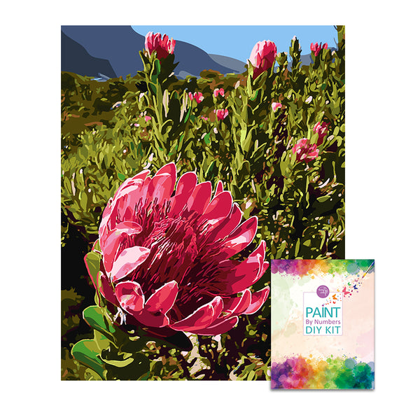 Easy Craft Paint by Number DIY Kit, 50x40cm- Protea on Mountain (New Tube)