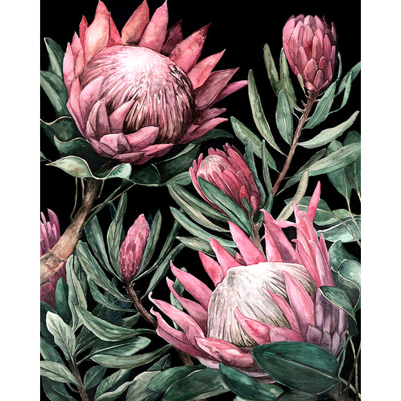 Diamond Painting DIY Kit,Full Drill, 50x40cm- Proteas on Black Background