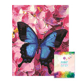 Easy Craft Paint by Number DIY Kit, 50x40cm- Blue Butterfly in Pink (New Tube)