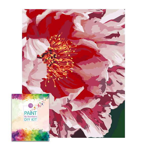 Easy Craft Paint by Number DIY Kit, 50x40cm- Peony Flower (New Tube)