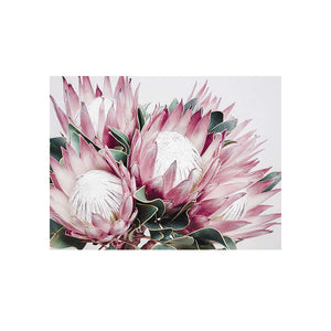 Diamond Painting DIY Kit,Full Drill, 40x30cm- Beautiful Proteas (New Tool Set)