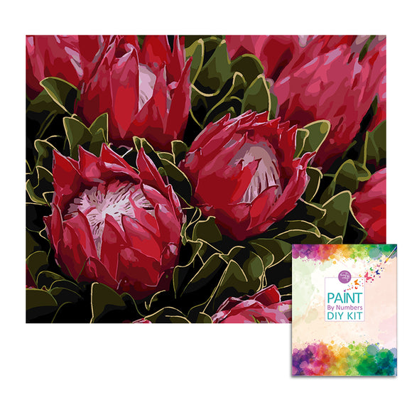 Easy Craft Paint by Number DIY Kit, 50x40cm- Beautiful Proteas Red (New Tube)